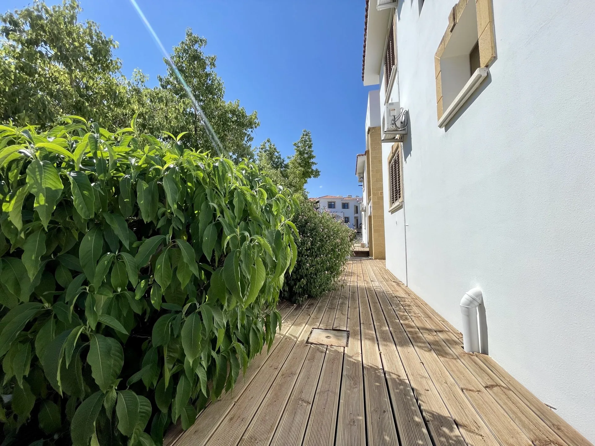 View 19
