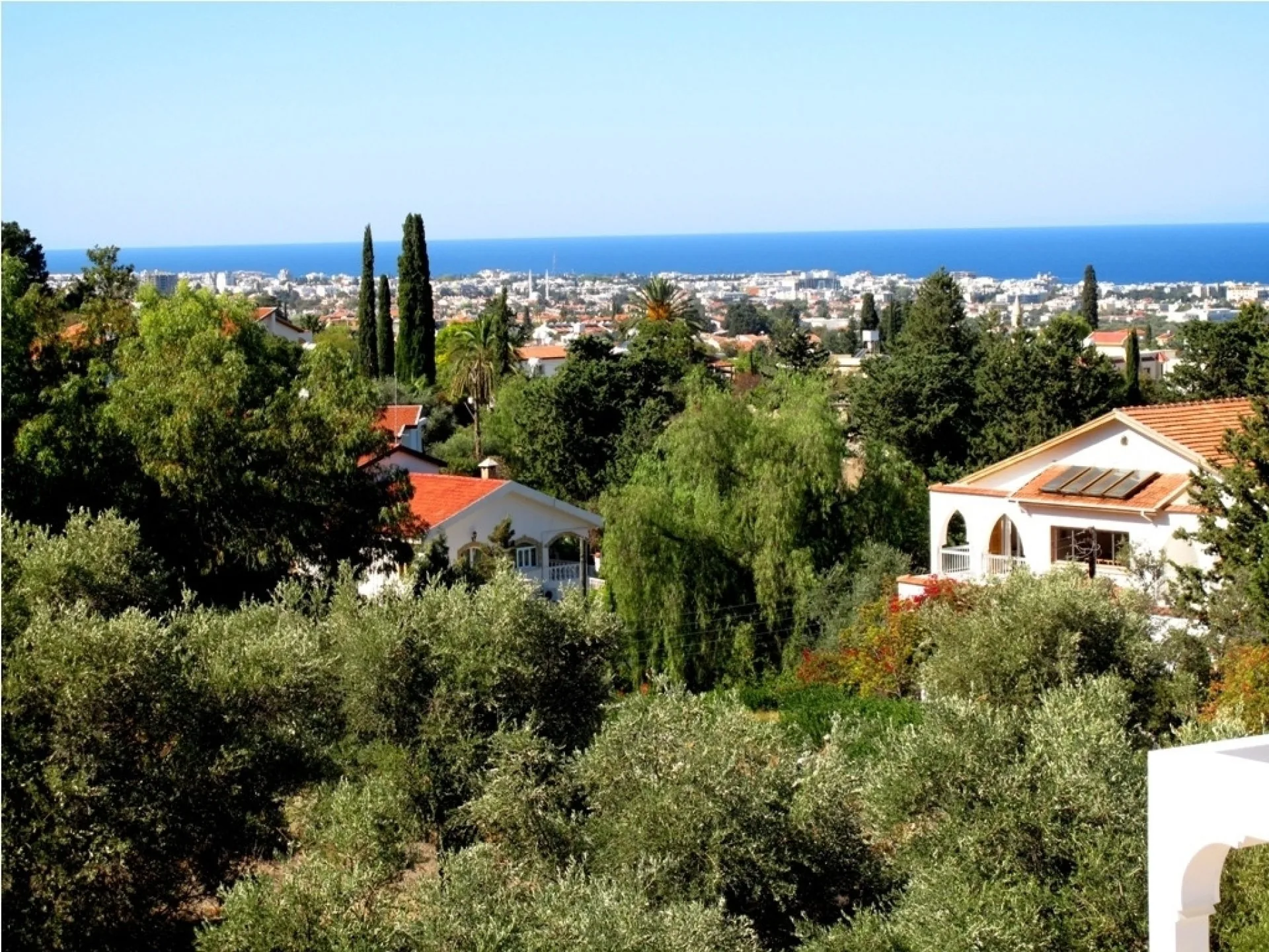 View 12