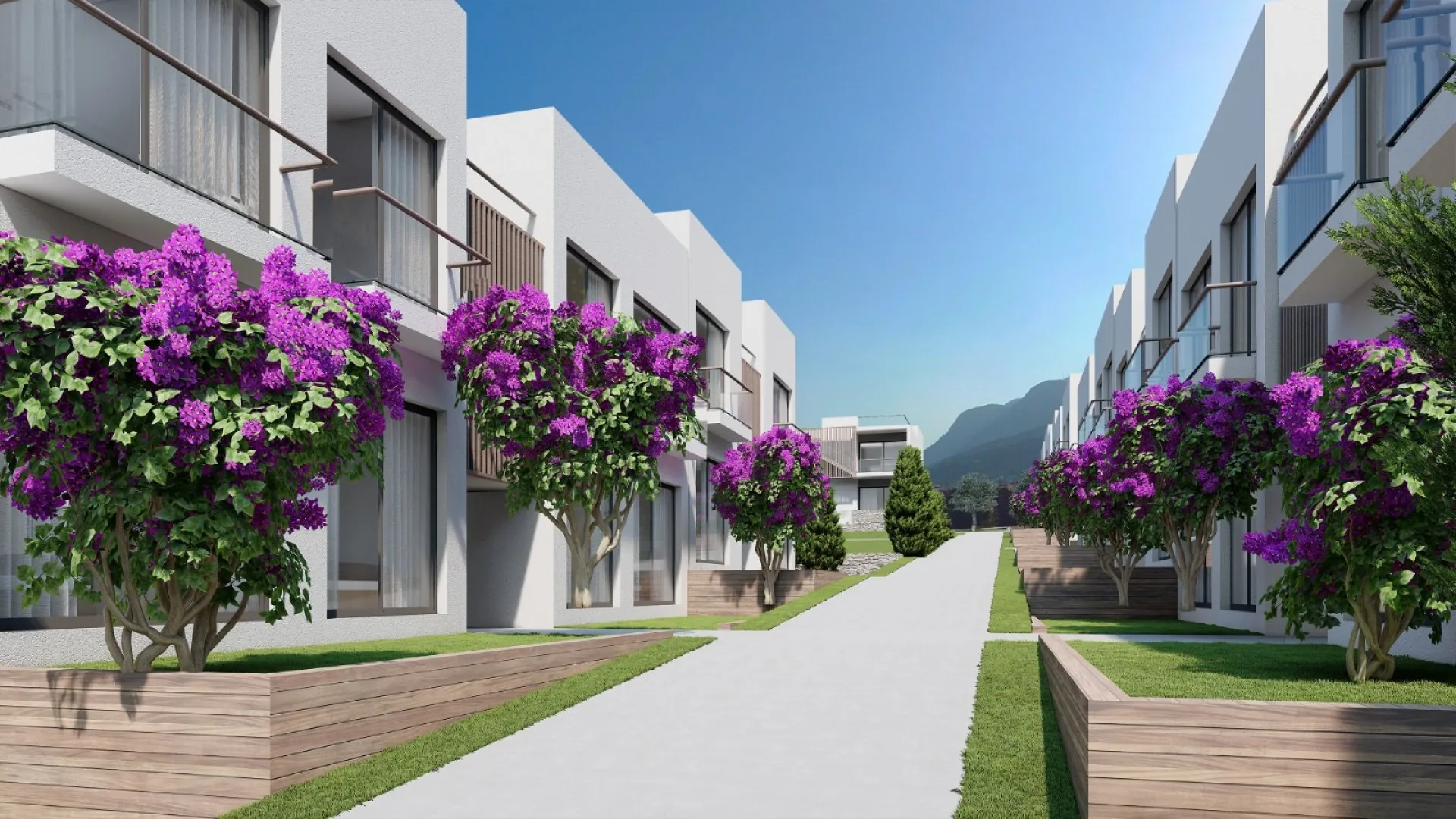 View 13
